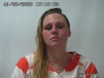 Erica Sue Mccabe Mugshot