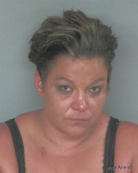 Erica Kay Mceldowney Mugshot