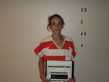 Erica  Nichols Mugshot