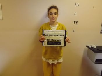 Erica  Nichols Mugshot