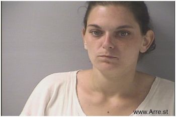 Erica Nicole Schmidt Mugshot