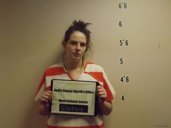 Erica  Wolford Mugshot