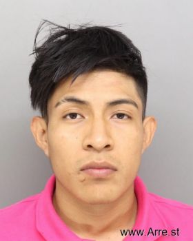 Erick  Mendoza-solis Mugshot