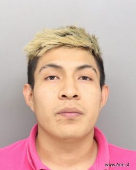 Erick  Mendoza-solis Mugshot