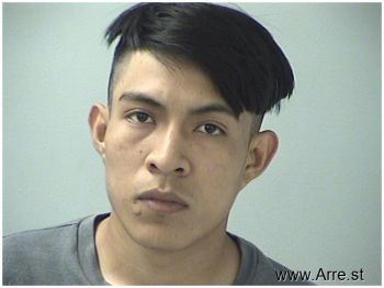 Erick Renaldo Mendoza-solis Mugshot