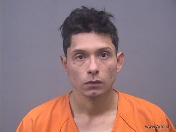 Erik  Medina Mugshot