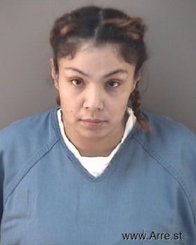 Erika Ann Torres Mugshot