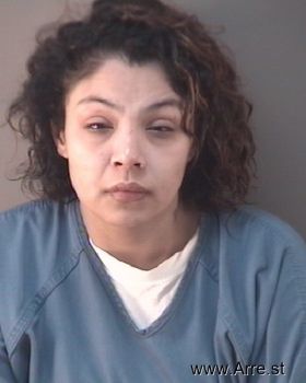 Erika Ann Torres Mugshot