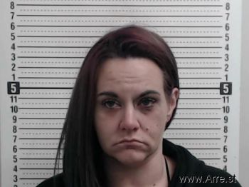 Erin L Clark Mugshot