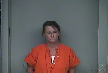 Erin D Johnson Mugshot