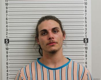 Ethan J Fields Mugshot