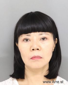 Fengzhi  Liu Mugshot