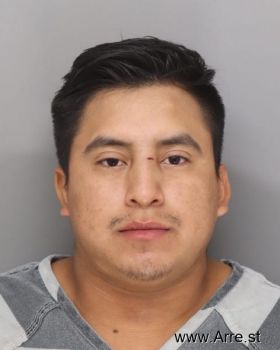 Fernando  Ramirez-ramirez Mugshot