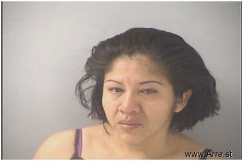 Guadalupe Nmn Lopez-reyes Mugshot