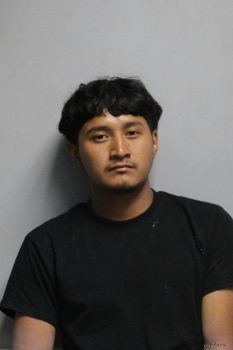 Geovany Felipe Gomez Brito Mugshot