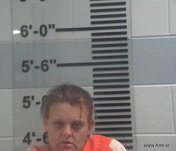 Grace Lindsey Borders Mugshot