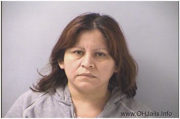 Haydee Adelia Santos-amaya Mugshot