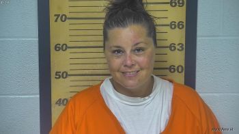 Holli Lee Miller Mugshot