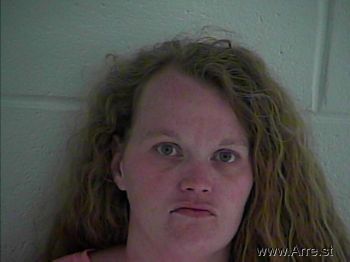 Holly Arlene Lewis Mugshot