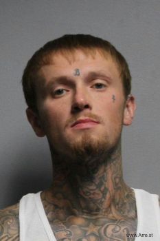 Harley Wayne Beckman Mugshot