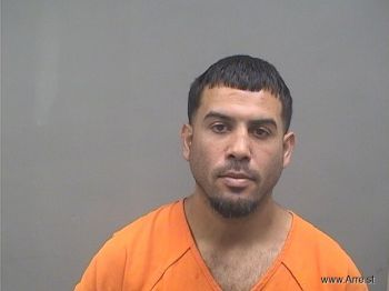 Harryvan  Martinez-alicea Mugshot