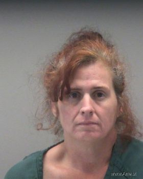 Heather Marie Bayless Mugshot