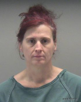 Heather Marie Bayless Mugshot