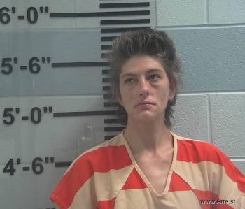 Heather  Boyles Mugshot