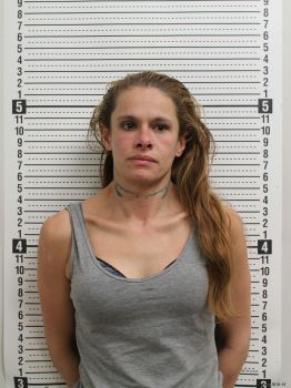 Heather D Gossett Mugshot