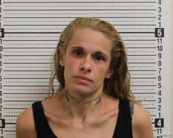 Heather D Gossett Mugshot