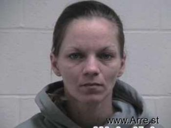 Heather Ann Holloway Mugshot