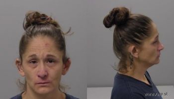 Heather Janelle Miller Mugshot