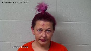 Heather Marie Wilkes-cramer Mugshot