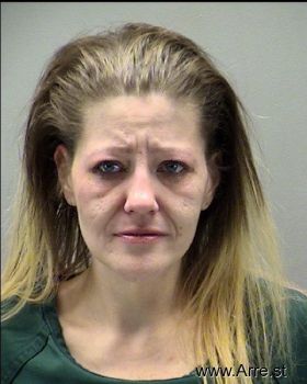 Heather R Youngerman Mugshot