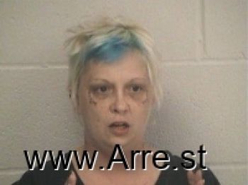 Heidi Sue Dible Mugshot