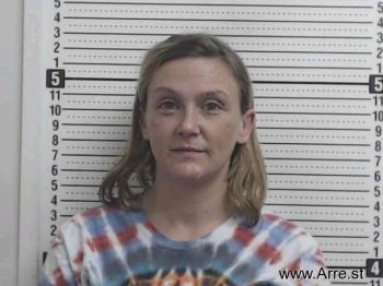 Heidi Lee Spurlock Mugshot