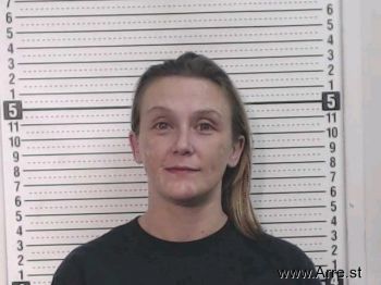 Heidi Lee Spurlock Mugshot