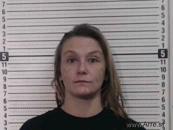 Heidi Lee Spurlock Mugshot