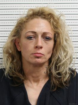 Holly L Davidson Mugshot