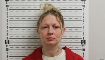 Holly L Davidson Mugshot