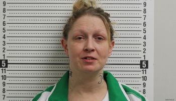 Holly L Davidson Mugshot