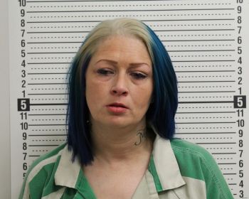 Holly Lea Davidson Mugshot