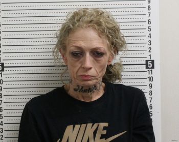 Holly Lea Davidson Mugshot