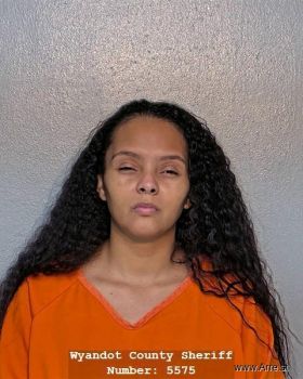 Irene Miroslaba Rodriguez Mugshot