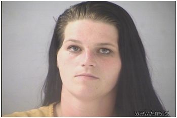 Jamie Renee Martin Mugshot