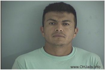 Jose Nmn Hernandez-martinez Mugshot