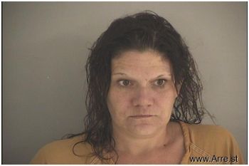 Julie Lynn Harmeyer Mugshot