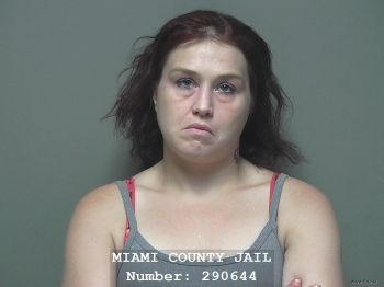 Jaime Lynn Blevins Mugshot