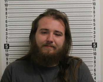 James Tyler Hayes Mugshot