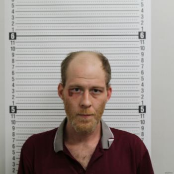 James E Olson Mugshot